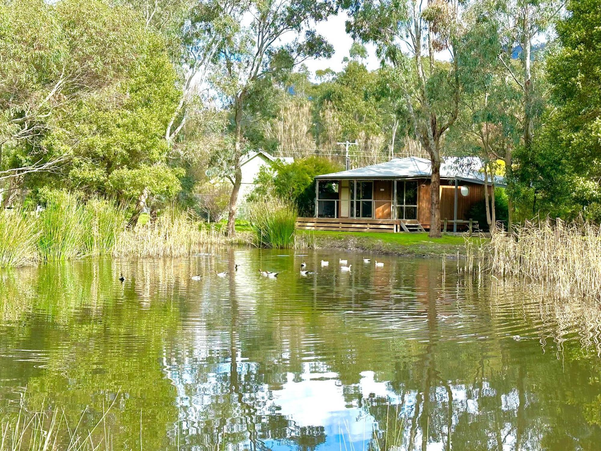 Grampians Chalets Halls Gap Eksteriør billede