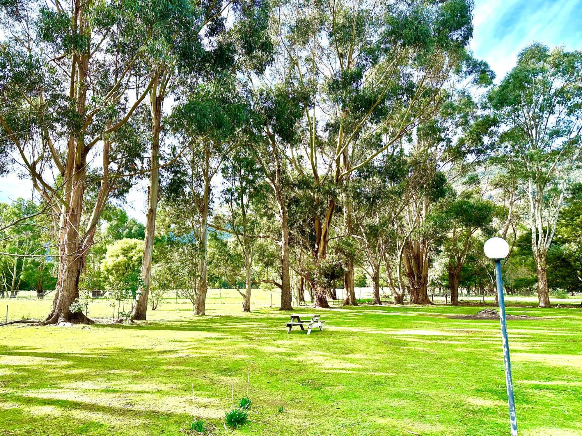 Grampians Chalets Halls Gap Eksteriør billede